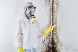 Best Black Mold Removal  in Matteson, IL